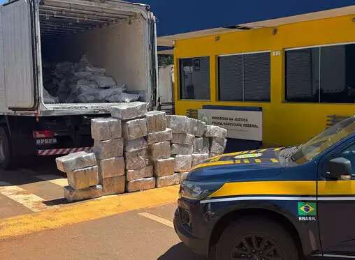 Casal &eacute; preso transportando 989 kg de maconha escondida em carga de carne