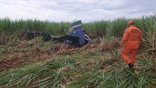 Piloto morre em queda de avi&atilde;o agr&iacute;cola 