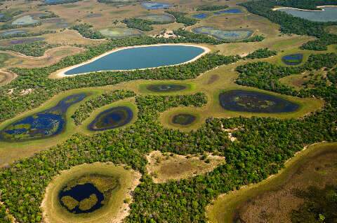 Estado habilita 11 entidades para gest&atilde;o do Fundo Pantanal