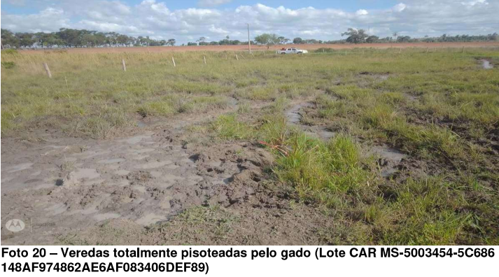 Campo Grande News