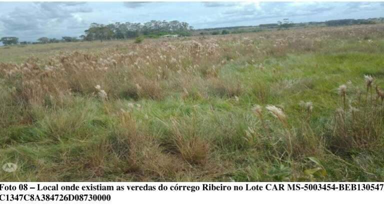 Campo Grande News