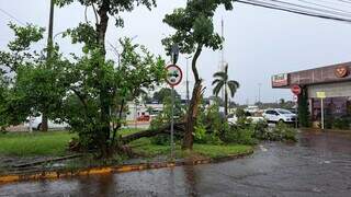 Temporal com granizo derruba &aacute;rvores e deixa sem&aacute;foros desligados na Zahran