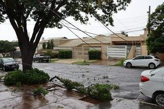 Temporal com granizo derruba &aacute;rvores e deixa sem&aacute;foros desligados na Zahran