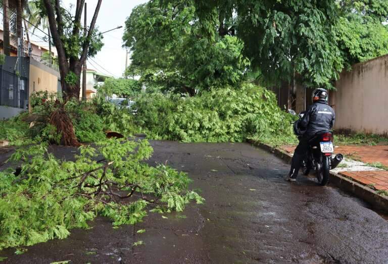 Campo Grande News