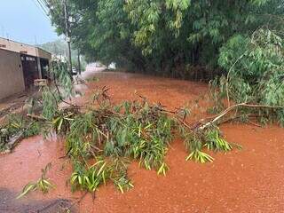 C&oacute;rrego Vendas transborda e invade casas durante pancada de chuva