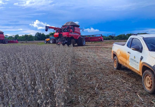 Colheita da soja em MS atinge 67,5% da &aacute;rea cultivada