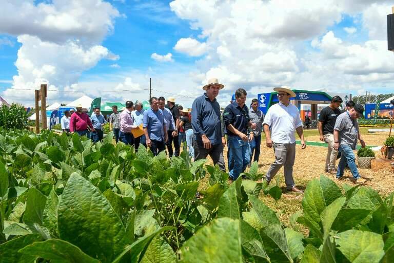 Campo Grande News