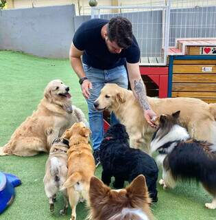 Sem guerra: paci&ecirc;ncia &eacute; a chave para adaptar pets aos novos agregados