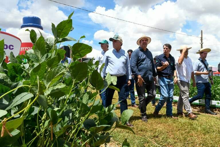 Campo Grande News