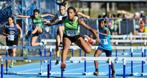 Bolsa Atleta abre inscri&ccedil;&otilde;es para t&eacute;cnicos e competidores em 15 categorias