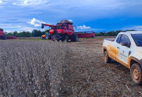 Colheita da soja em MS atinge 67,5% da &aacute;rea cultivada