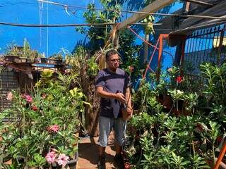 Aos 63 anos, Alfonso fez do quintal o pr&oacute;prio o&aacute;sis de flor do deserto