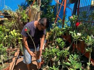 Aos 63 anos, Alfonso fez do quintal o pr&oacute;prio o&aacute;sis de flor do deserto