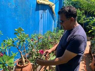 Aos 63 anos, Alfonso fez do quintal o pr&oacute;prio o&aacute;sis de flor do deserto