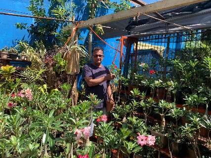 Aos 63 anos, Alfonso fez do quintal o pr&oacute;prio o&aacute;sis de flor do deserto