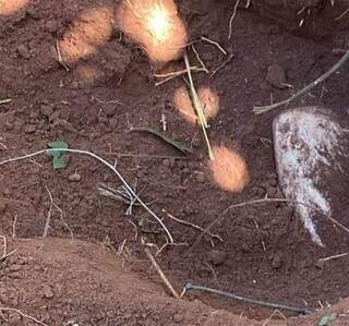 Corpo de engenheiro agr&ocirc;nomo &eacute; encontrado em cova rasa na fronteira