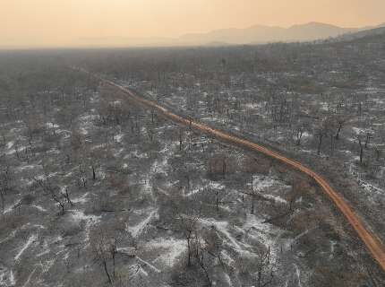 Meteorologistas fazem alerta para o pior cen&aacute;rio de estiagem da hist&oacute;ria em 2025