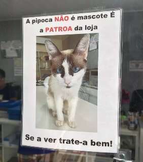 &quot;Patroa de loja&quot; some no Tiradentes e tutora pede ajuda para encontr&aacute;-la