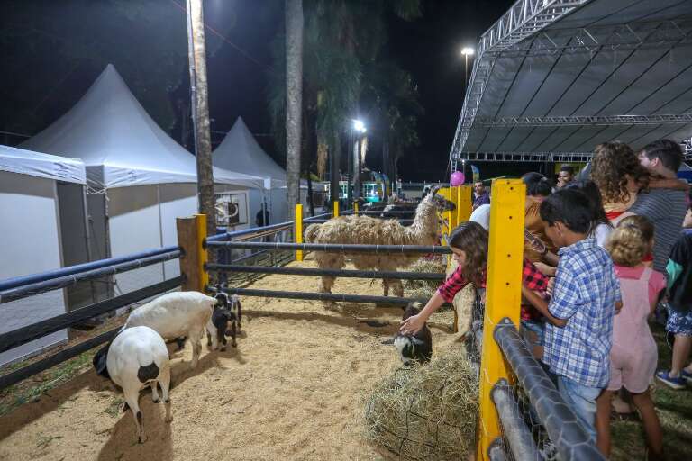Campo Grande News