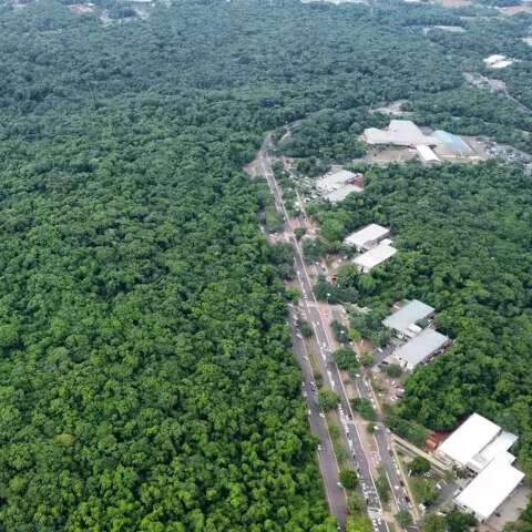 Projeto de pr&eacute;dios perto de parque amea&ccedil;a 262 esp&eacute;cies de aves, diz bi&oacute;loga