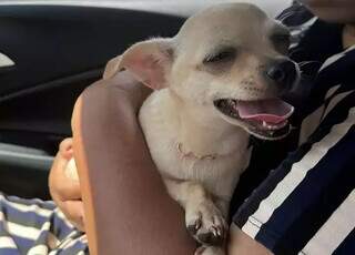 Para bancar luxos, dono fez Shakira largar vida de patricinha por crach&aacute; e CLT