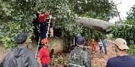 Com estragos do campo à cidade, Jardim deve decretar emergência