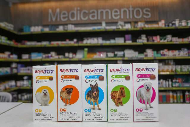 Dia Out no OutPet com toda loja em oferta e frete grátis para toda cidade!