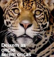 Alimentar animais selvagens é colocá-los em jaulas invisíveis, alertam entidades