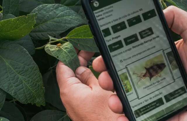 Boom de startups alavanca neg&oacute;cios em Mato Grosso do Sul