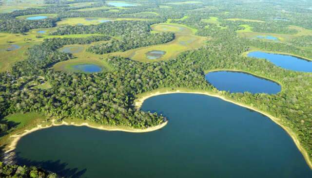 Governo regulamenta pagamentos por conserva&ccedil;&atilde;o do Pantanal