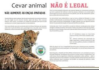 PMA intensifica conscientiza&ccedil;&atilde;o no Pantanal ap&oacute;s acidente com on&ccedil;a