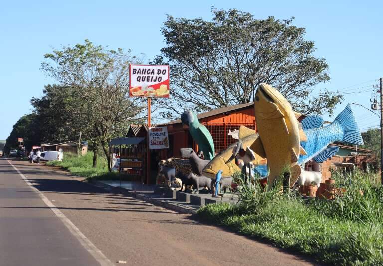 Campo Grande News