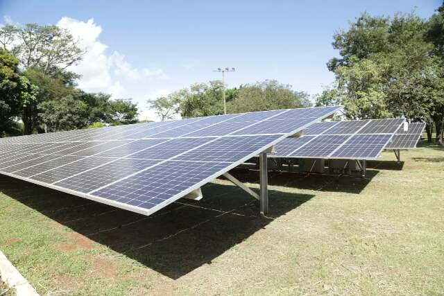 Nova cara do trabalhador de MS: empregos mudam com agro digital e energia limpa