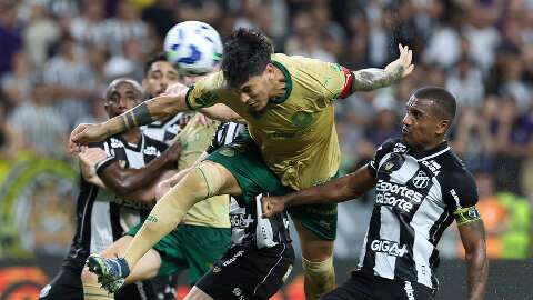 Botafogo aplica goleada e Palmeiras vence fora de casa pela Copa do Brasil