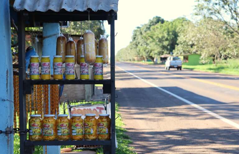 Campo Grande News