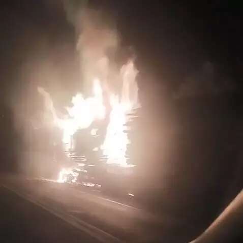 Carreta com carga de eucalipto pega fogo na BR-262