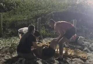 Briga em torneio de pesca acaba com tr&ecirc;s esfaqueados; um em estado grave