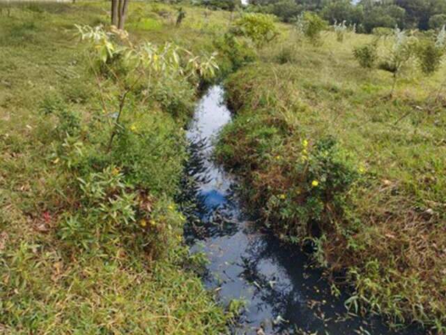 Empresa &eacute; investigada por despejo irregular de esgoto no Rio Dourados