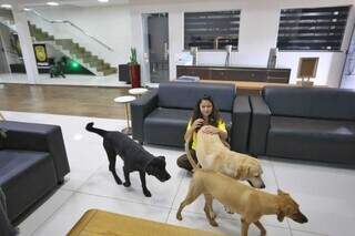 Moradores ilustres: c&atilde;es acolhidos por policiais ganham lar e afeto no Dracco