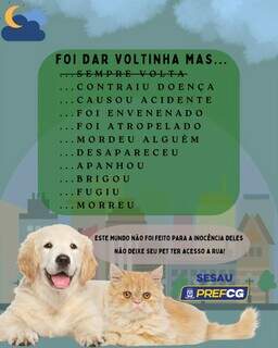 CCZ alerta: animais soltos nas ruas correm riscos de doen&ccedil;as e atropelamentos 