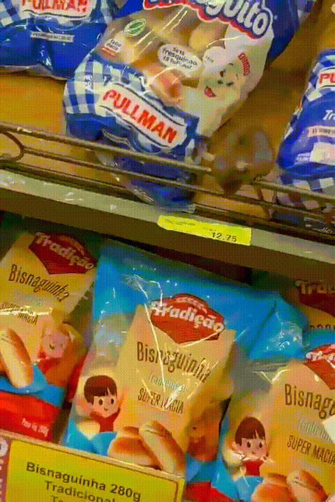 &quot;Inaceit&aacute;vel&quot;, consumidora denuncia rato em prateleira de p&atilde;es em supermercado 
