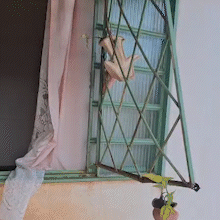 Sede de projeto social e casa de moradora s&atilde;o furtadas durante a madrugada