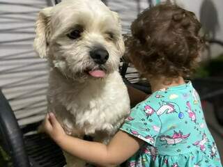 Menina de 4 anos tem febre ap&oacute;s sumi&ccedil;o de c&atilde;ozinho no Nova Lima