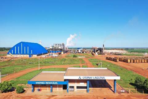 Usina investe R$ 105 milh&otilde;es e produz a&ccedil;&uacute;car de alta pureza para exporta&ccedil;&atilde;o