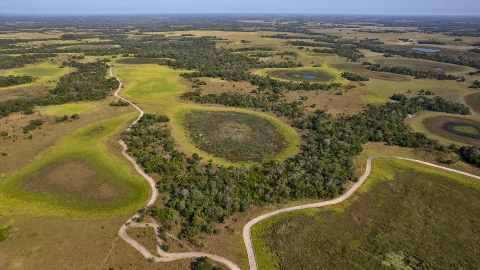 Parque pantaneiro pode se autofinanciar com cr&eacute;ditos de carbono e biodiversidade