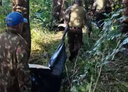 Laudo revela que caseiro tentou se defender de ataque de on&ccedil;a