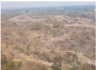 Propriet&aacute;rios de fazenda no Pantanal v&atilde;o ter que recuperar &aacute;rea queimada