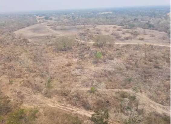 Propriet&aacute;rios de fazenda no Pantanal v&atilde;o ter que recuperar &aacute;rea queimada