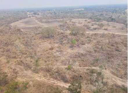 Propriet&aacute;rios de fazenda no Pantanal v&atilde;o ter que recuperar &aacute;rea queimada