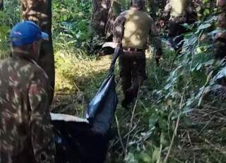 Laudo revela que caseiro tentou se defender de ataque de on&ccedil;a